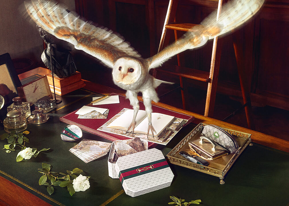 GUCCI的魔法文具店里会飞的笔记簿与神秘魔法阵 带你进入梦幻国度 - 3