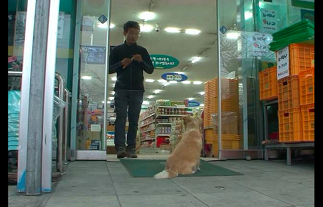 流浪狗在便利店门口蹭吃，还学会了养生，殊不知夜晚却是心碎时刻 - 3