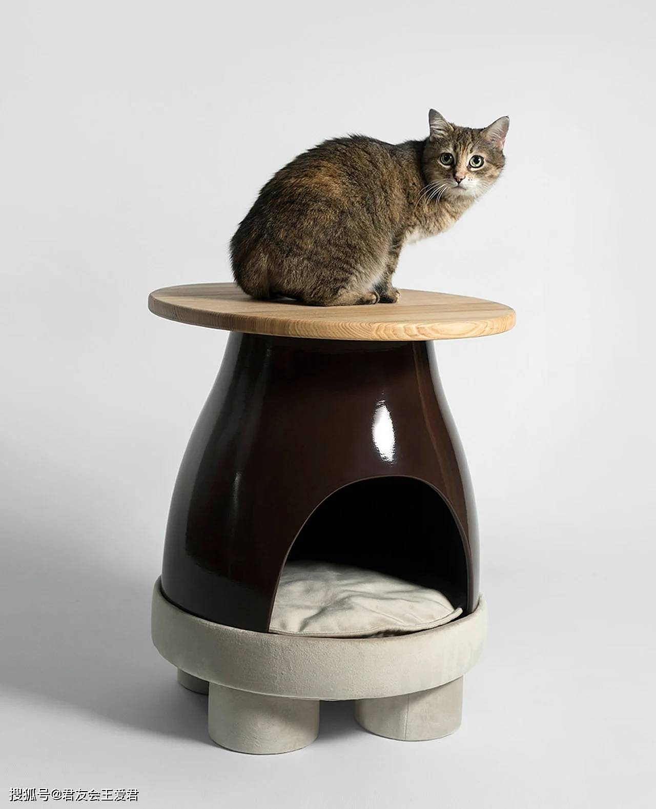 专才资源第15期-产品设计-宠物猫之家咖啡桌 - 3