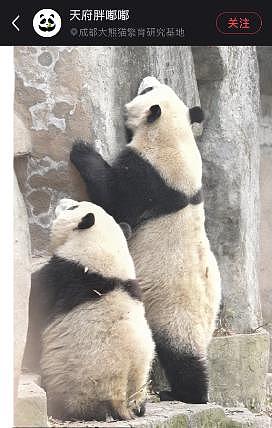 川籍女明星的颜值有多高，看她就知道了 - 6