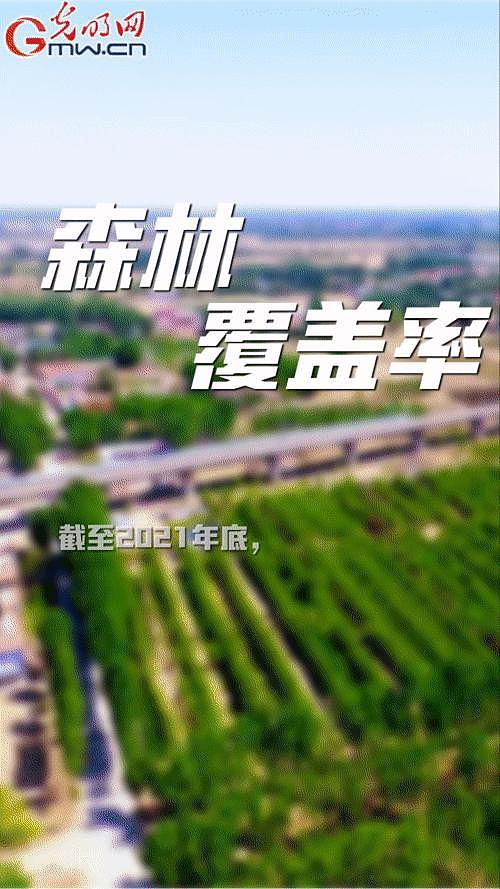 【“动”漫海报】雄安新区：五年奋进加速蝶变 未来之城欣欣向荣 - 3