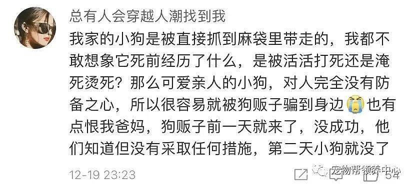 狗狗中毒后跑到派出所门口躲避，却仍没逃过偷狗贼，最后警察为它讨回公道 . - 8