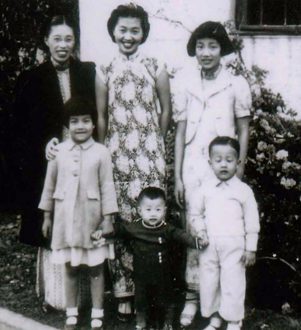 杨紫琼、林青霞嫁入豪门当后妈，女明星的继女们长大后还好么 - 15