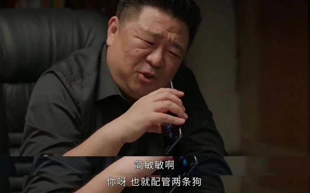 这情节，就跟坐过山车一样，绝绝子 - 17