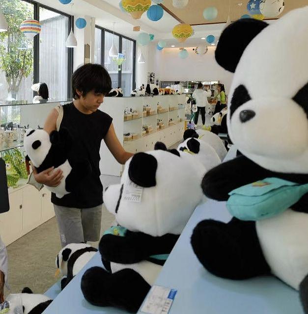 刘烨儿女熊猫基地被偶遇和老外交流，诺一背帆布包好朴实 - 2