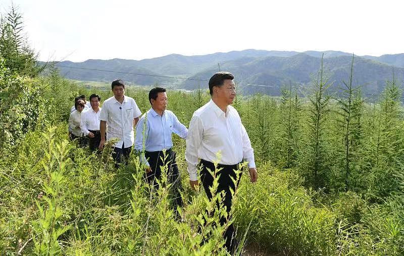 连续 10 年参加首都义务植树 习近平引领建设绿色家园 - 4