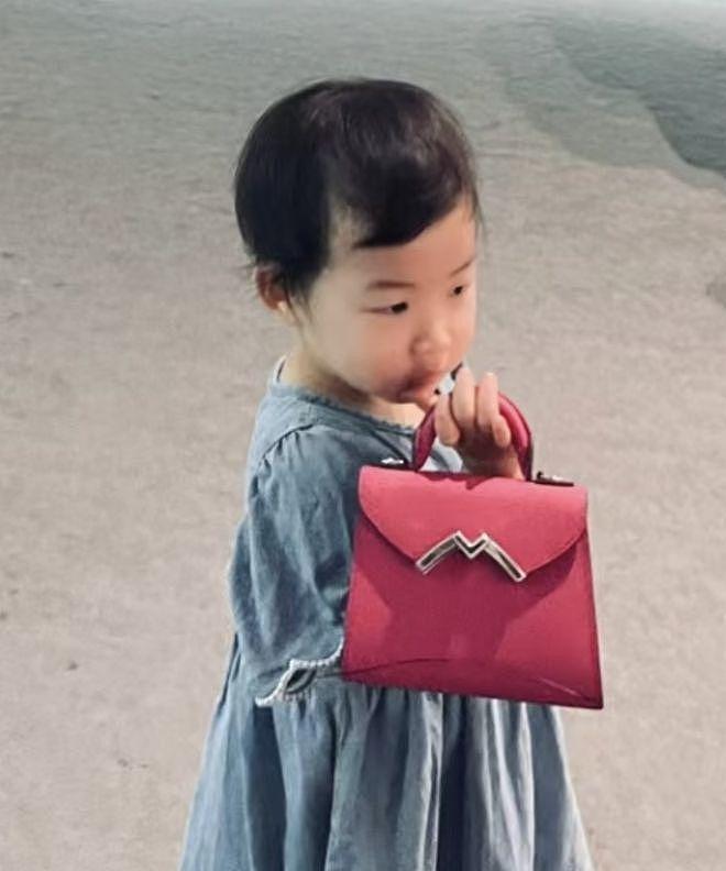 朱珠带娃看画展，1 岁女儿帮拎 4 万元包包 - 10