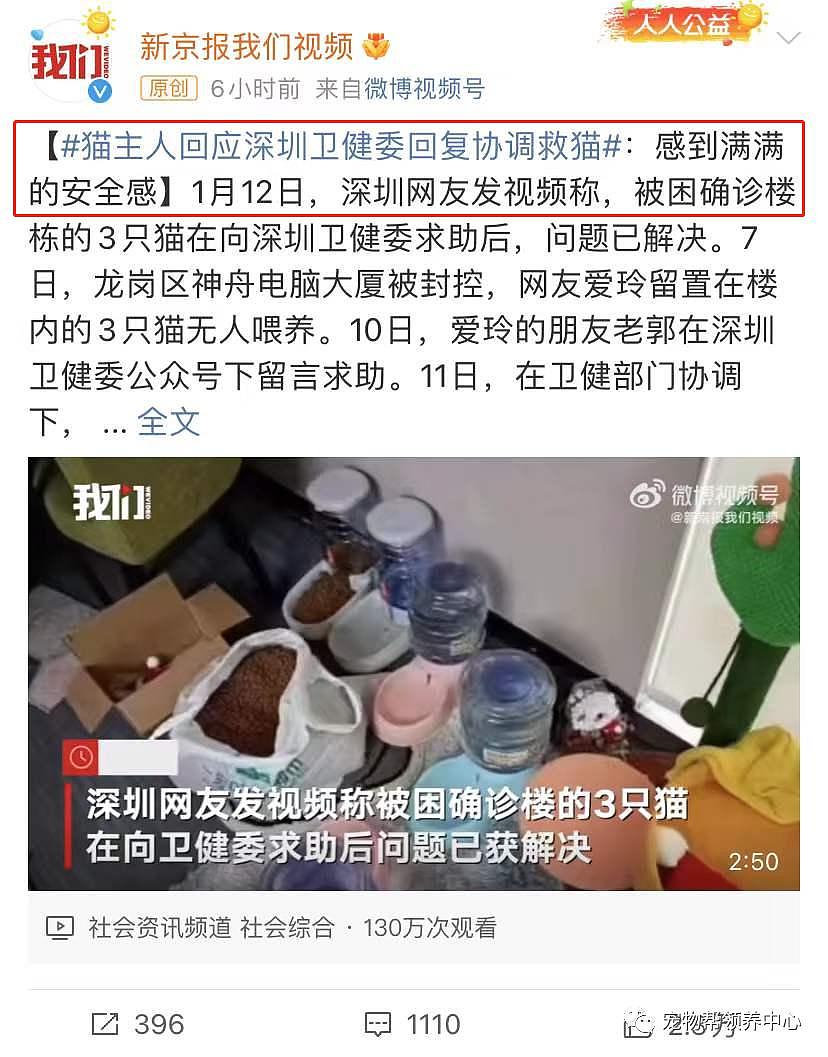 深圳一位主人核酸阳性，隔离酒店要人道毁灭两只未经检测的猫 . - 10