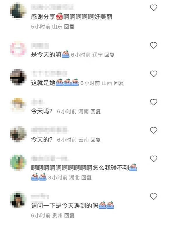 50岁董卿携10岁儿子游布达拉宫，手臂骨瘦如柴，晒得黝黑好接地气 - 7