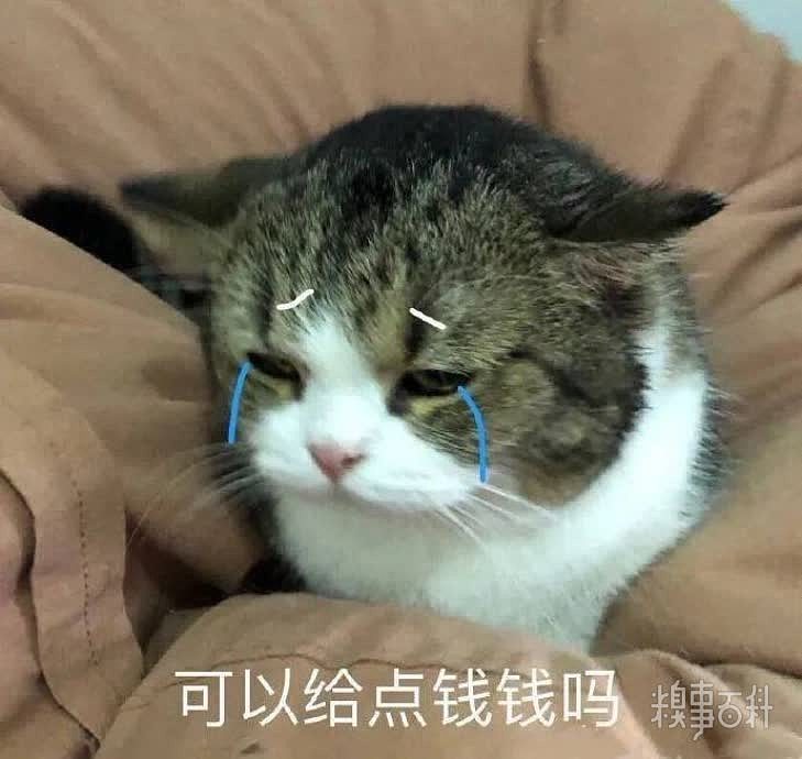 不要慌问题不大你怎么