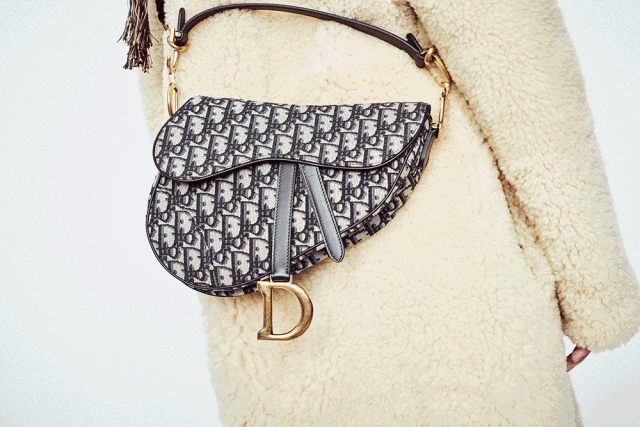 Dior Saddle包包在沉寂14年之后再次让万千美少女再次为它倾心？ - 13