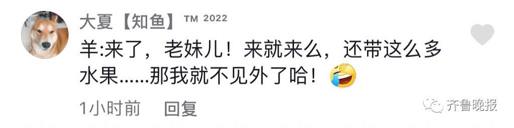 野餐时跟放羊大姨打了个招呼 , 没想到把羊群招来了 ... 水果零食全遭殃 - 9