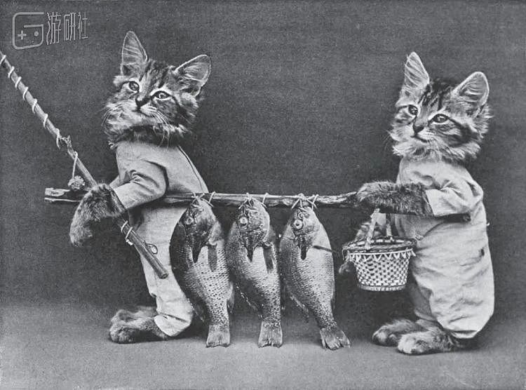 100年前就有的猫猫COS照，背后是悠久的动物虐待史 - 2