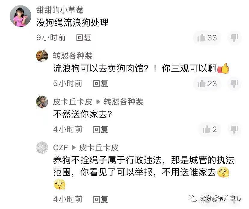 金毛被三个小孩“逗走”，主人看监控找到后小孩说：把狗狗带过去给奶奶卖到狗肉馆 . - 18