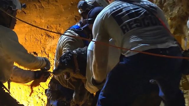 15岁老狗被困排水管2天，消防员花10个小时“挖地取管”救援 - 5