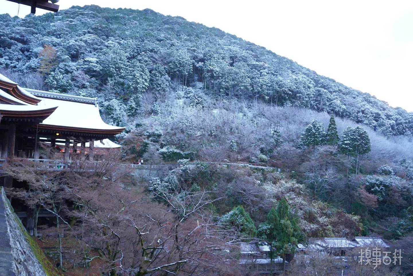 京都初雪，各路网友和