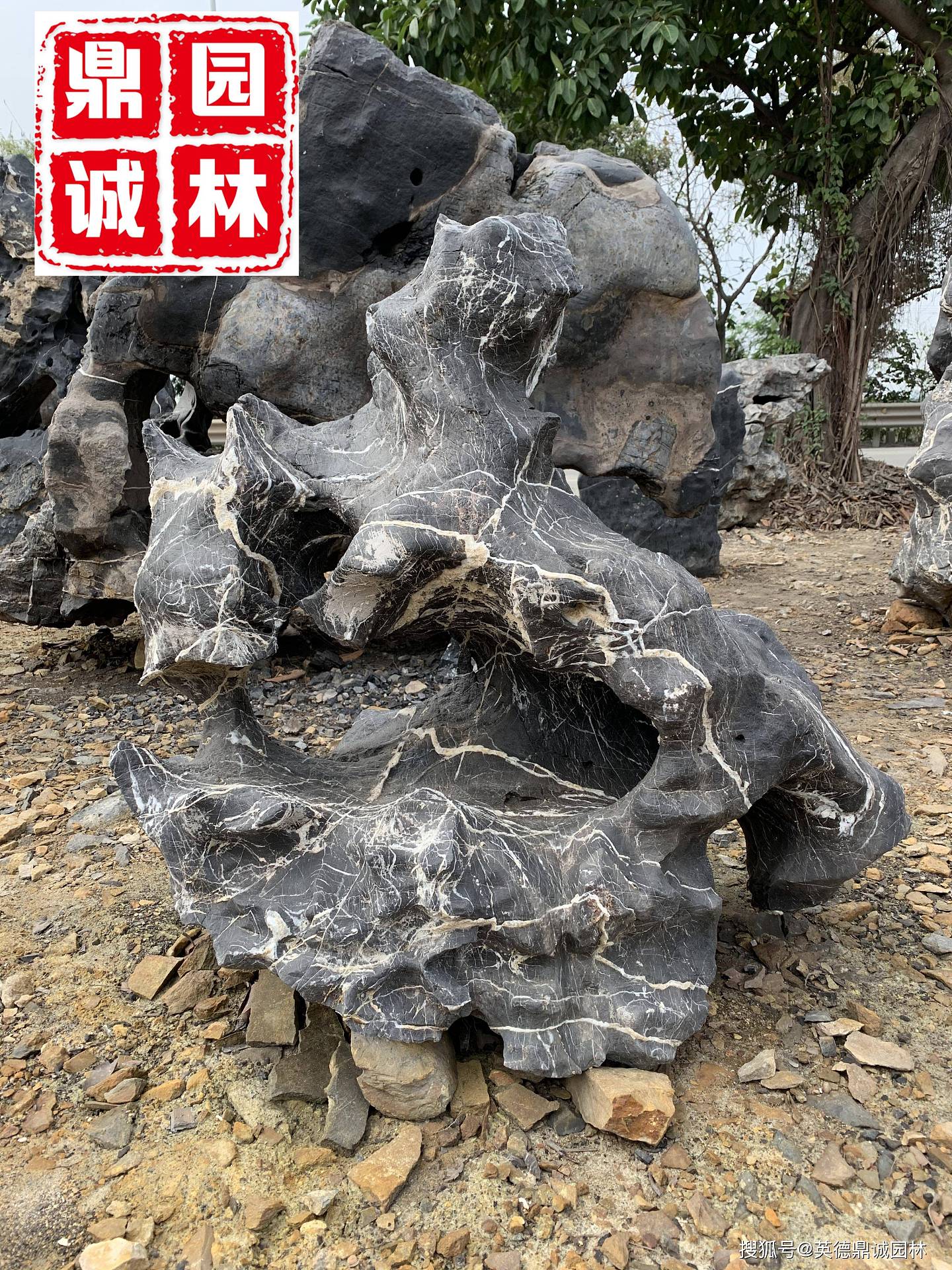 天然太湖石独石是一种奇特的窟窿石 - 2