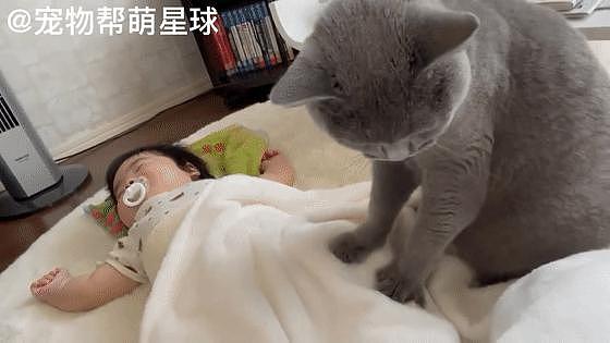 猫咪专业哄娃睡觉，用肉垫按摩超温柔，主人：以后带娃就靠你了！ - 6