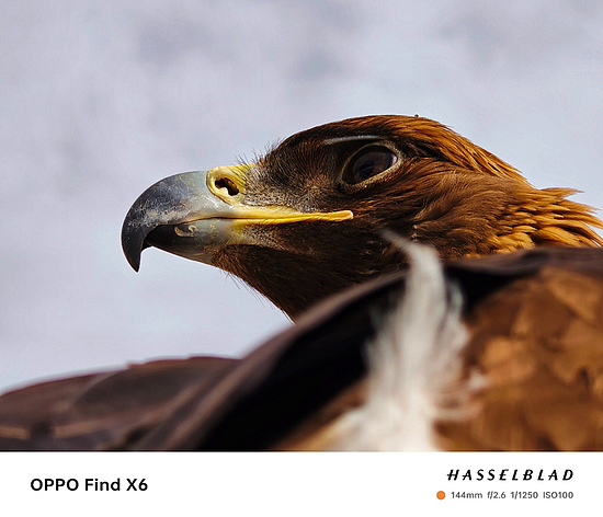 3月21日发布，OPPO Find X6系列影像全面升级，标准版也能打巅峰赛 - 4