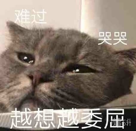 一些流泪猫猫头表情包