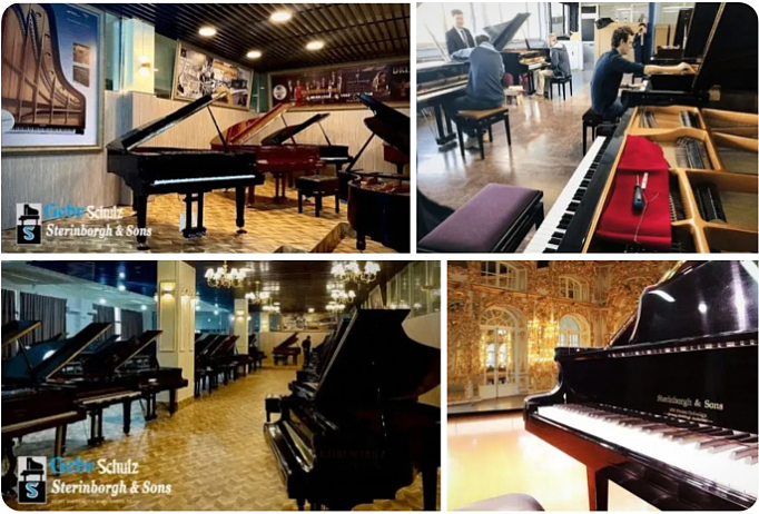 斯坦伯格钢琴:30亿投资|德国大师手工琴世界顶奢钢琴品牌之一 - 3