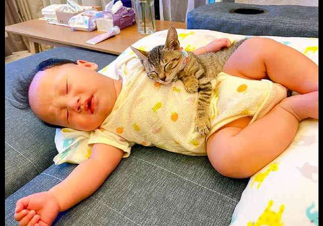 猫咪躺在宝宝的身上，虽然画面很暖心，但都压得喘不过气来了！ - 3