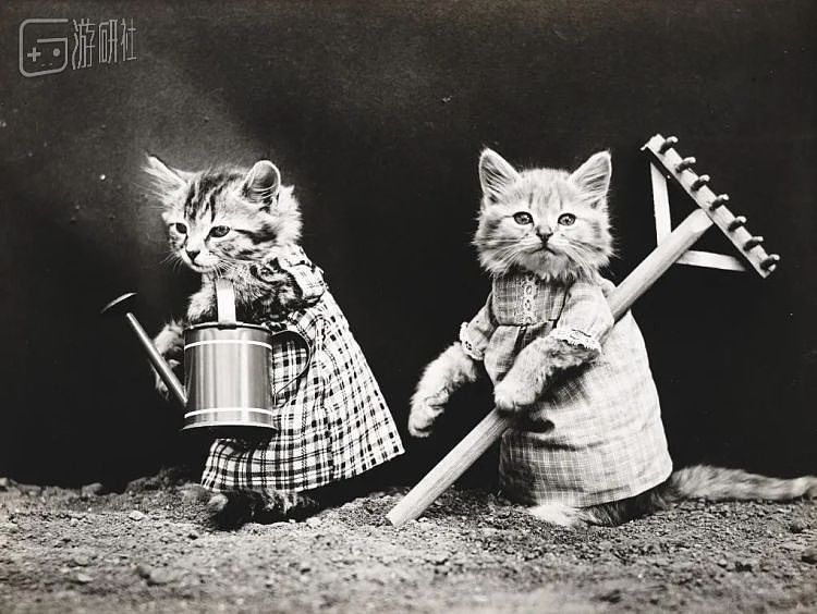 100年前就有的猫猫COS照，背后是悠久的动物虐待史 - 7