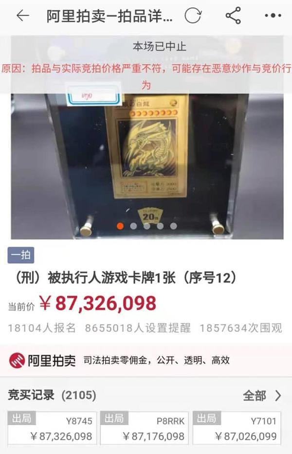 贪污 6993 万的“ 95 后”，两次失联的宠物主人，独特法拍物背后往往有故事 - 4