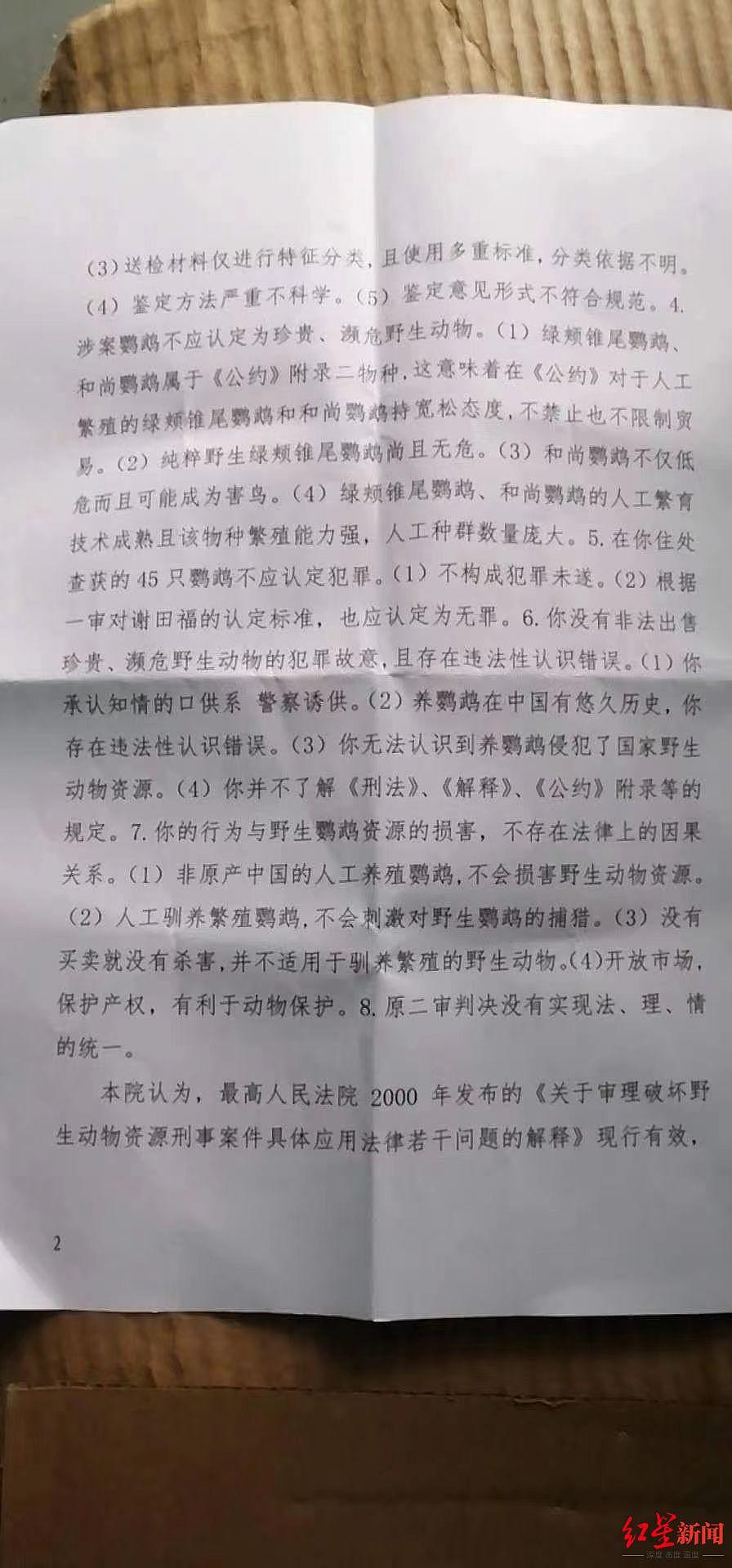 “深圳鹦鹉案”当事人王鹏：新司法解释出台，我们的“牺牲”也算有了意义 - 2