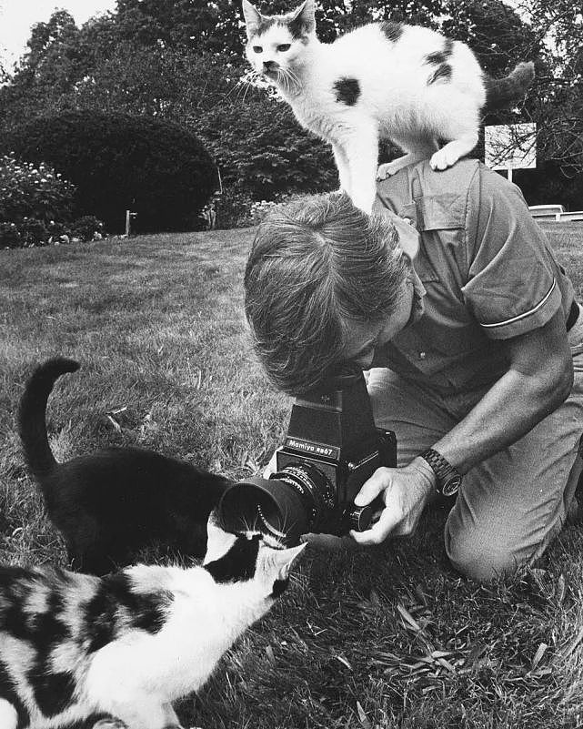 猫趣 | 摄影师为兴趣辞职，坚持拍猫70年，被誉为猫片教父 - 9