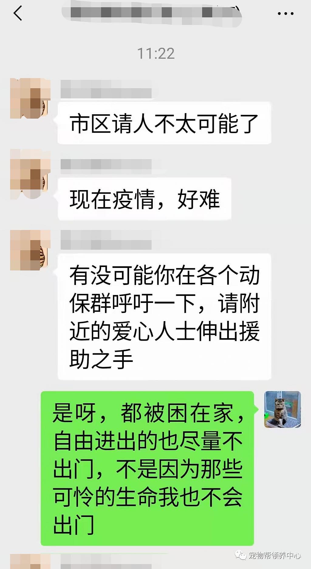 紧急扩散！上海 70 多岁阿姨突发心脏病，她救助的近 80 只猫狗急需帮助 . - 12
