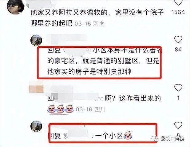 苏小玎的豪宅曝光，他爸爸身份不简单？可惜直播带货惹争议 - 3