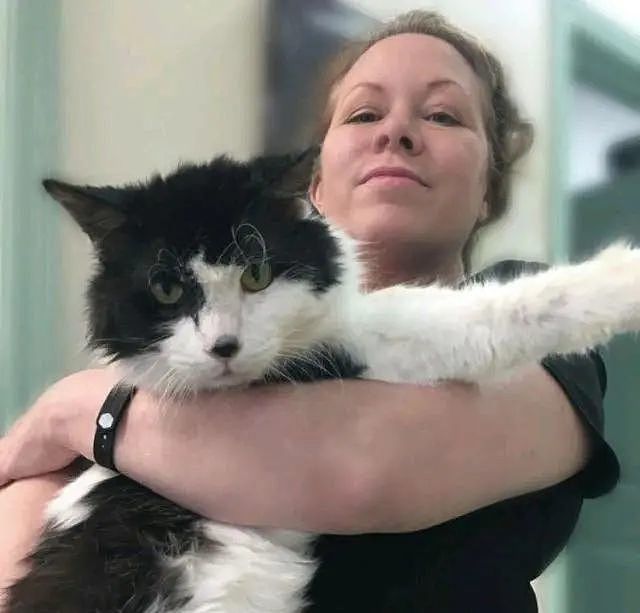 猫咪被关在航空箱，2年没尝过“走路”滋味，被救后见人就要抱抱 - 4