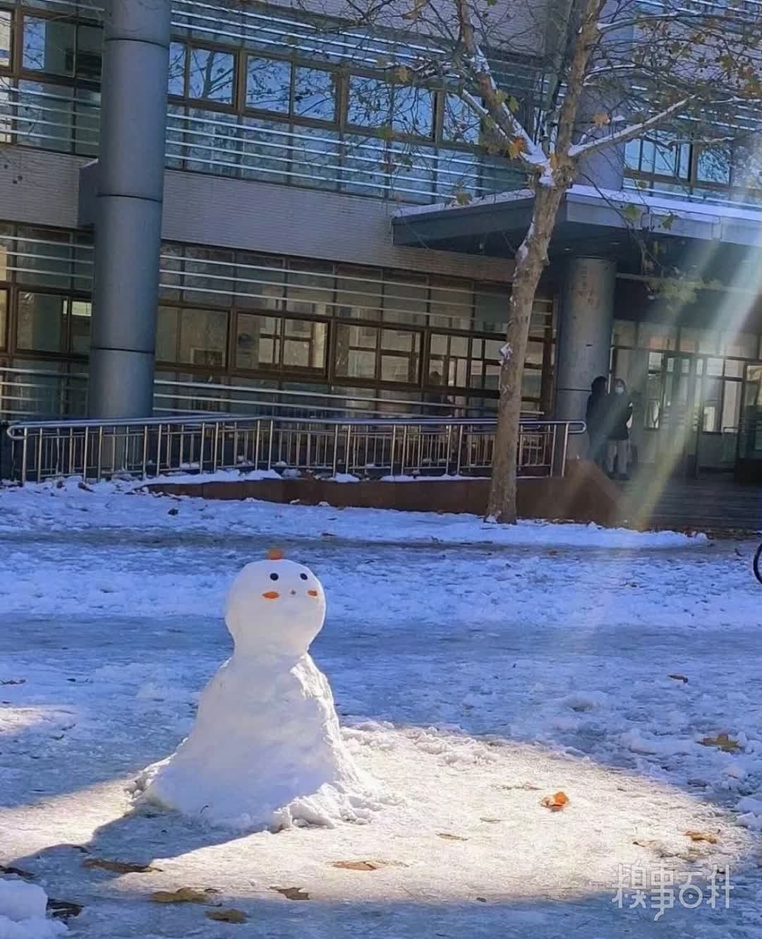 第一次沐浴阳光的雪人