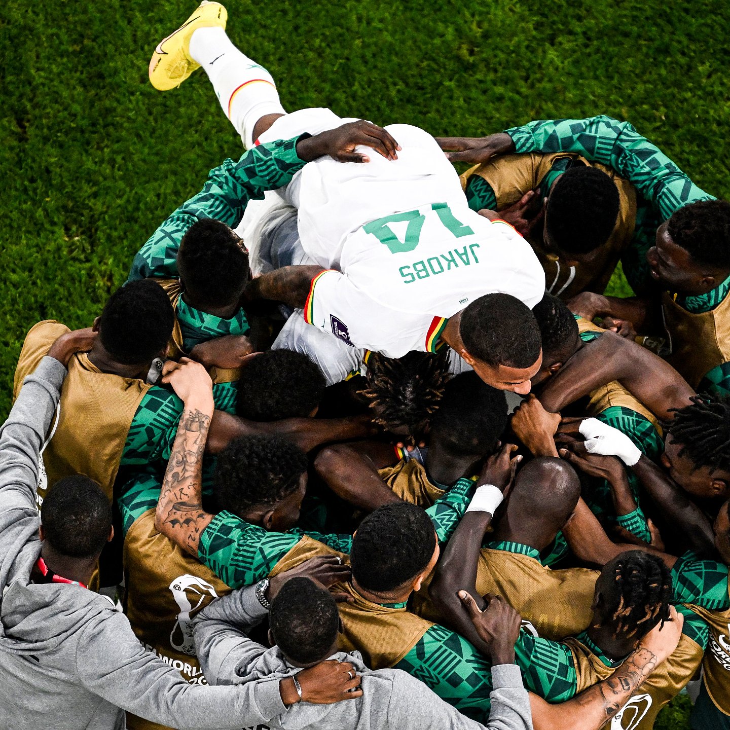 塞内加尔对上卡塔尔：非洲足球的野性和狂放在这一夜尽情绽放 - 23