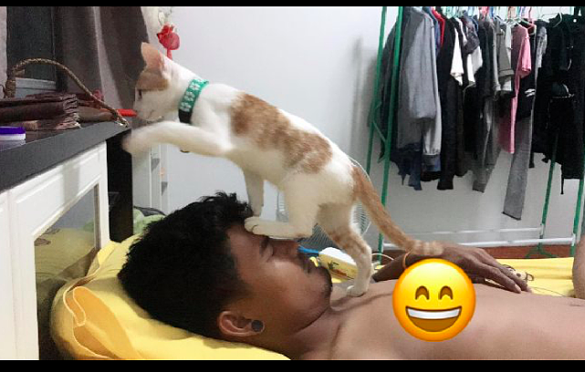 网友躺床上睡觉，猫咪直接蹬鼻子上脸了，猫：渴了吗？我来送水了 - 2