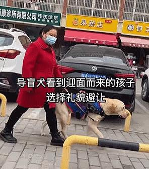 导盲犬带着主人在盲道行走，碰到路人礼貌避让，结果却… - 2