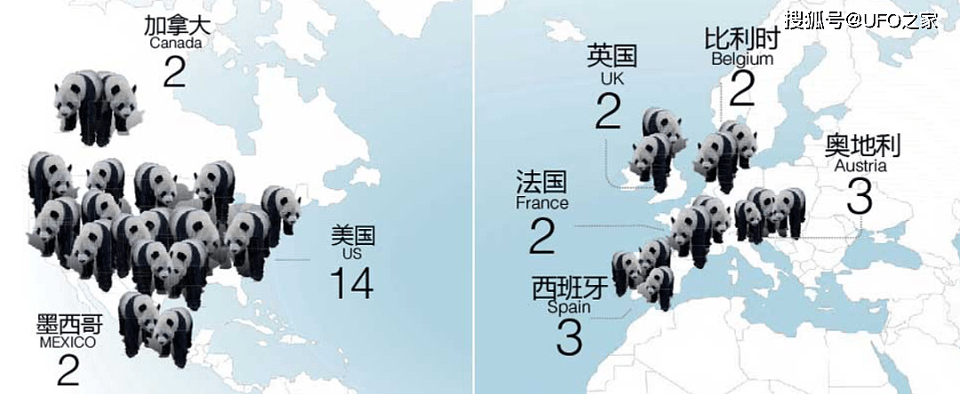 曾有个女人将活体大熊猫走私出中国，海关登记：携带哈巴狗一只 - 19