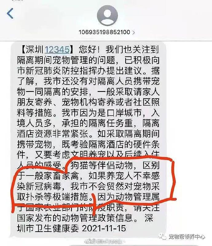 深圳一位主人核酸阳性，隔离酒店要人道毁灭两只未经检测的猫 . - 27