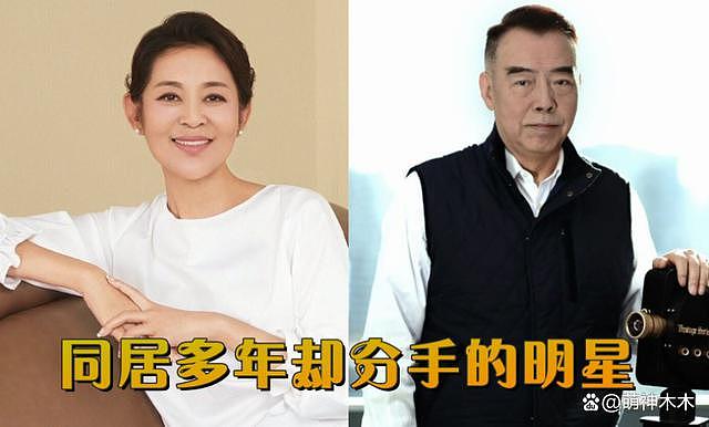 陈飞宇翻车牵连父母！陈红、陈凯歌黑历史被扒，一家人私生活混乱 - 16