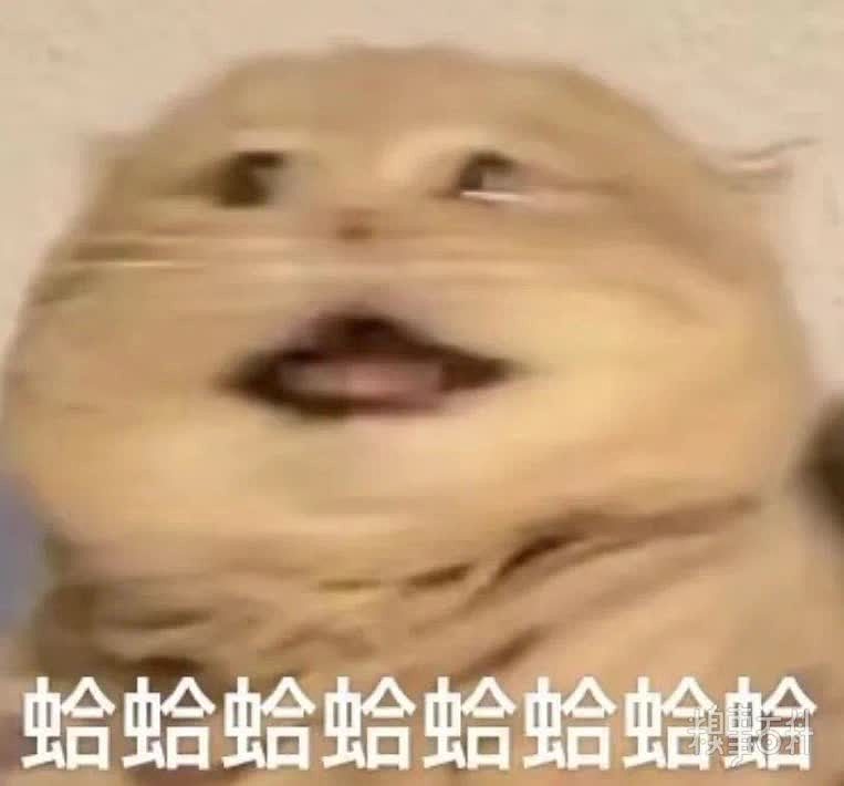 嗯嗯嗯你真厉害呀 真