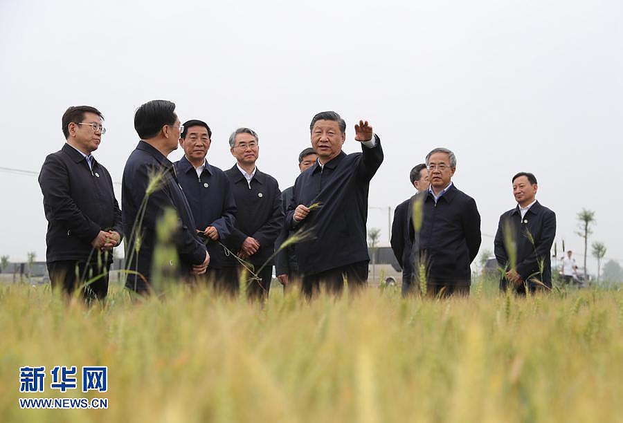 学习进行时丨粮食安全，习近平念兹在兹 - 1