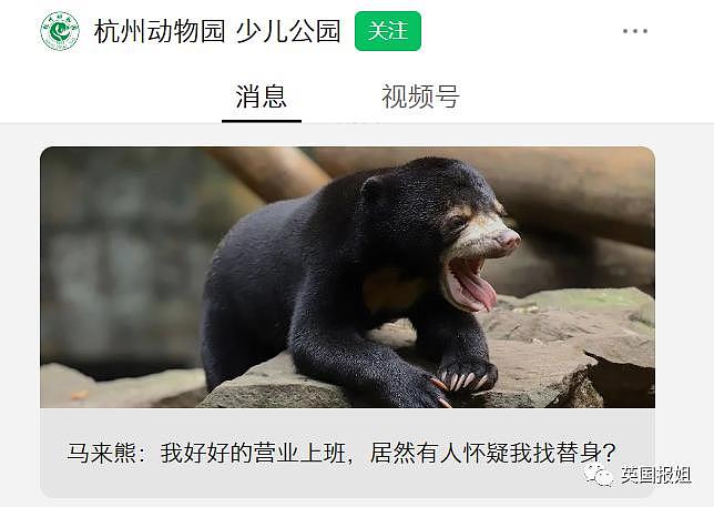 中国动物园的一头熊一夜之间火爆全球！国外媒体网友陷入疯狂：“它到底是熊还是人？！” - 19