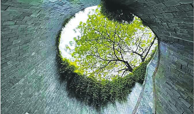 “龙之穴”，新加坡网红“树洞” - 1
