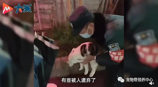 保安收养 7 只生病流浪猫上了热搜，和打死流浪狗的保安一对比，差距太大了 . - 24