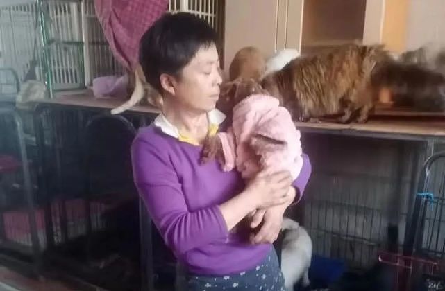 公益 | 她从19岁开始救助流浪猫狗，到50多岁时却被烧伤落下残疾 - 1