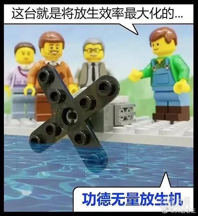 好一个功德无量放生机