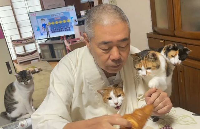 猫趣 | 一个人和六只猫守着一座寺院，吃饭都被群猫环绕会是怎样的体验？ - 4