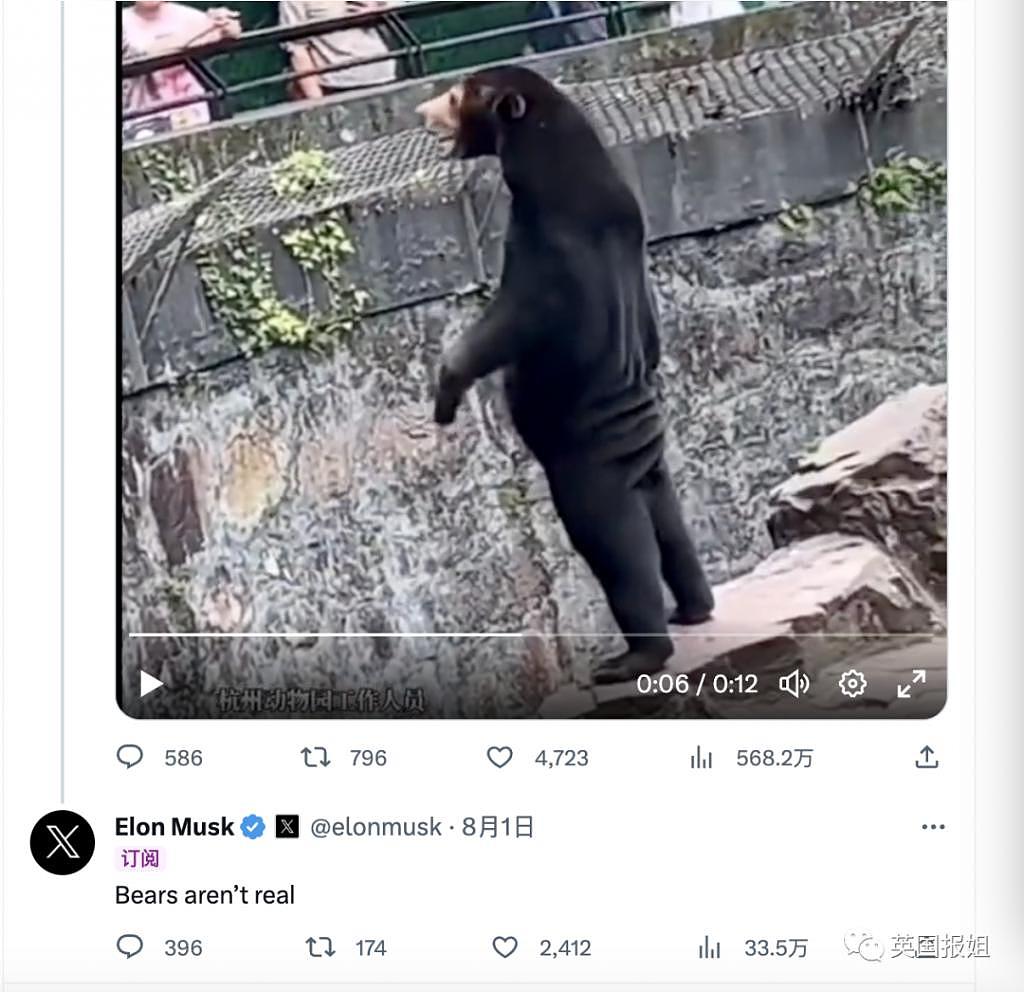 中国动物园的一头熊一夜之间火爆全球！国外媒体网友陷入疯狂：“它到底是熊还是人？！” - 14