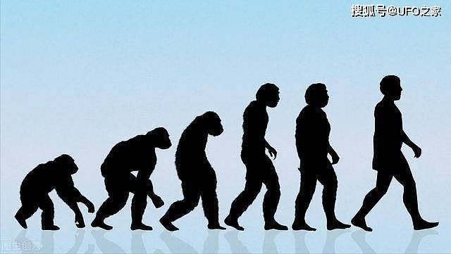 高科技加快人类进化步伐，未来1000年人类会进化到何等高度？ - 1